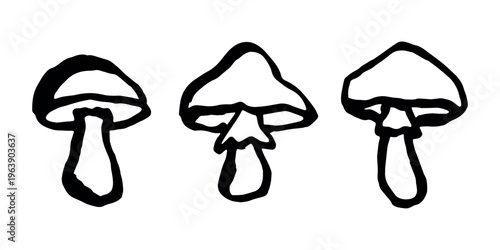 Hand drawn mushroom doodle set Botanical illustration Cute autumn mushroom Healthy eco food Organic vegetarian food For stickers, greeting card, design, print, packaging, decor, kids books