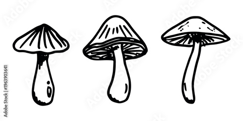 Hand drawn mushroom doodle set Botanical illustration Cute autumn mushroom Healthy eco food Organic vegetarian food For stickers, greeting card, design, print, packaging, decor, kids books