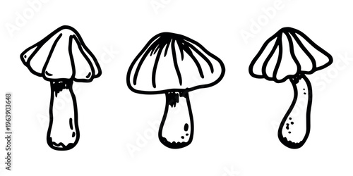 Hand drawn mushroom doodle set Botanical illustration Cute autumn mushroom Healthy eco food Organic vegetarian food For stickers, greeting card, design, print, packaging, decor, kids books