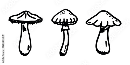 Hand drawn mushroom doodle set Botanical illustration Cute autumn mushroom Healthy eco food Organic vegetarian food For stickers, greeting card, design, print, packaging, decor, kids books