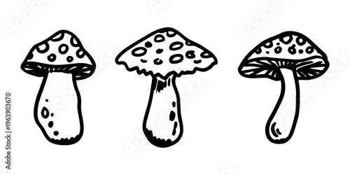 Hand drawn mushroom doodle set Botanical illustration Cute autumn mushroom Healthy eco food Organic vegetarian food For stickers, greeting card, design, print, packaging, decor, kids books