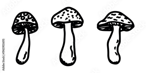 Hand drawn mushroom doodle set Botanical illustration Cute autumn mushroom Healthy eco food Organic vegetarian food For stickers, greeting card, design, print, packaging, decor, kids books
