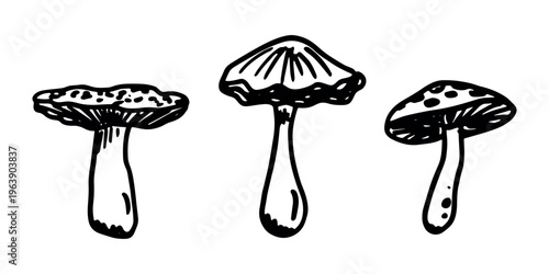Hand drawn mushroom doodle set Botanical illustration Cute autumn mushroom Healthy eco food Organic vegetarian food For stickers, greeting card, design, print, packaging, decor, kids books