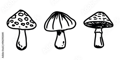 Hand drawn mushroom doodle set Botanical illustration Cute autumn mushroom Healthy eco food Organic vegetarian food For stickers, greeting card, design, print, packaging, decor, kids books