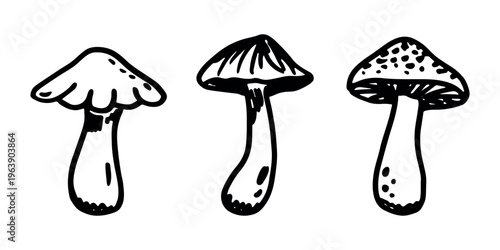 Hand drawn mushroom doodle set Botanical illustration Cute autumn mushroom Healthy eco food Organic vegetarian food For stickers, greeting card, design, print, packaging, decor, kids books