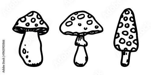 Hand drawn mushroom doodle set Botanical illustration Cute autumn mushroom Healthy eco food Organic vegetarian food For stickers, greeting card, design, print, packaging, decor, kids books