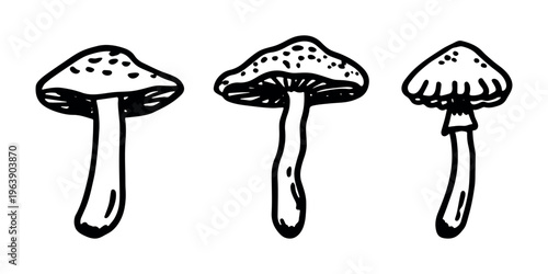 Hand drawn mushroom doodle set Botanical illustration Cute autumn mushroom Healthy eco food Organic vegetarian food For stickers, greeting card, design, print, packaging, decor, kids books
