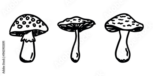 Hand drawn mushroom doodle set Botanical illustration Cute autumn mushroom Healthy eco food Organic vegetarian food For stickers, greeting card, design, print, packaging, decor, kids books