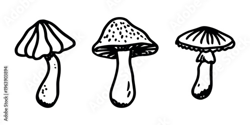 Hand drawn mushroom doodle set Botanical illustration Cute autumn mushroom Healthy eco food Organic vegetarian food For stickers, greeting card, design, print, packaging, decor, kids books