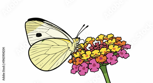 A delicate white butterfly rests on a cluster of vibrant, multi-colored small flowers