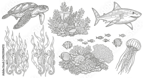 Hand Drawn Marine Life Set with Sea Turtle Shark Seahorses and Corals