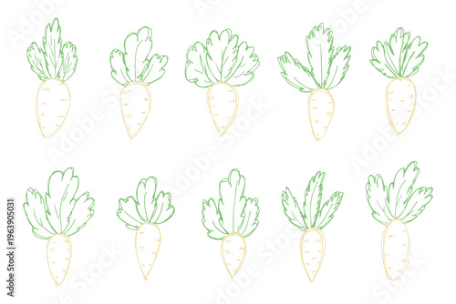 Hand drawn farm daikon radish plant with green leaves Fresh vegetable doodle set Healthy eco food Organic garden vegetarian food For design, print, packaging, decor, kids books