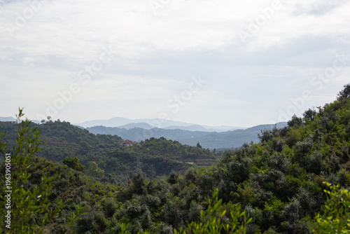 High quality natural landscape with clean composition soft light and commercial background appeal