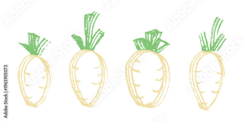 Hand drawn farm daikon radish plant with green leaves Fresh vegetable doodle set Healthy eco food Organic garden vegetarian food For design, print, packaging, decor, kids books