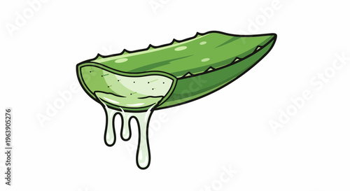 A cartoon illustration of a sliced aloe vera leaf with dripping gel