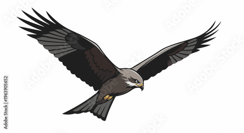 A detailed illustration of a raptor in flight with wings spread wide