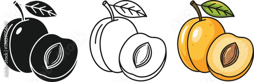 Set of colorful outlined and silhouette plums apricots and plum fruit with pit isolated vector.