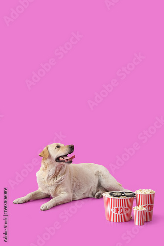 Cute Labrador dog with buck...