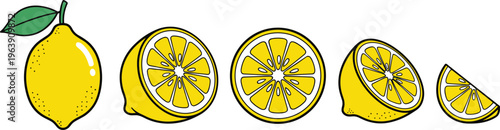 Set of fresh whole and sliced lemons, citrus fruit vector illustration isolated.