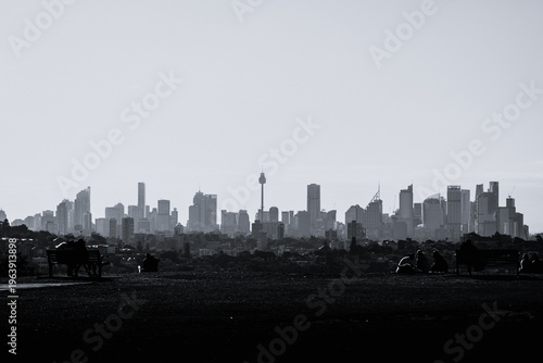 sydney skyline