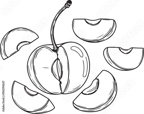 Cherry Halved and Sliced Fruit Pieces Line Drawing Isolated on White Background