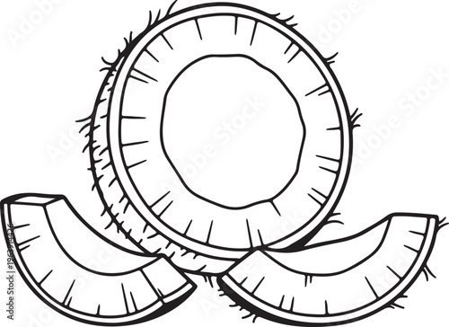 Coconut Halved and Sliced Pieces Tropical Fruit Outline