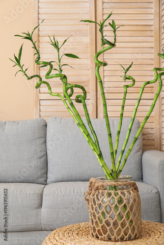 Vase with bamboo branches o...