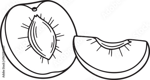 Peach Half and Slice with Stone Visible Line Art Isolated on White Background