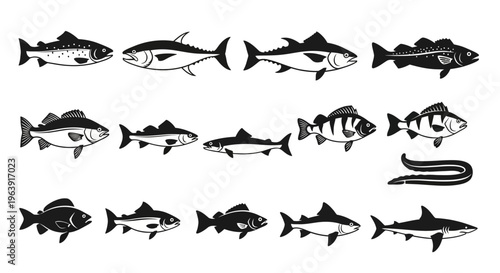 Set of Various Fish Species Silhouettes Icons