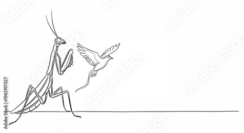 A praying mantis and a bird in a dynamic one line drawing