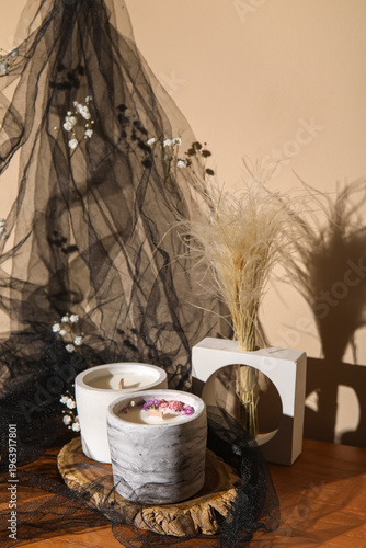 Gypsophila flowers and cand...