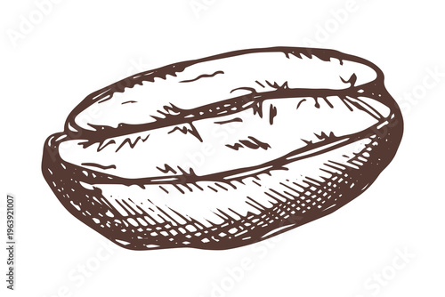 Hand drawn fresh roasted coffee bean Arabica robusta seed doodle Single element for print, web, design, decor