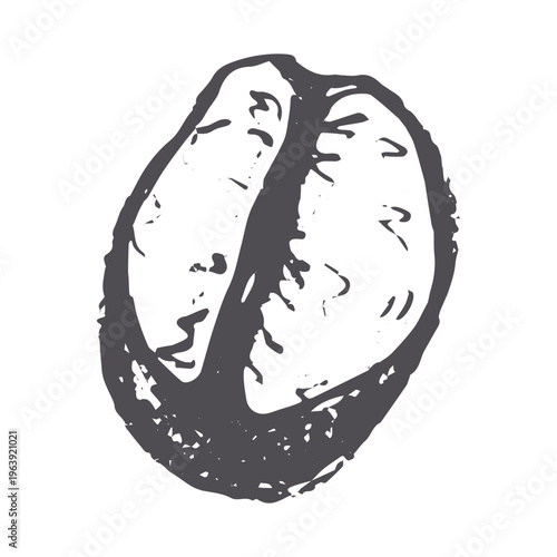 Hand drawn fresh roasted coffee bean Arabica robusta seed doodle Single element for print, web, design, decor