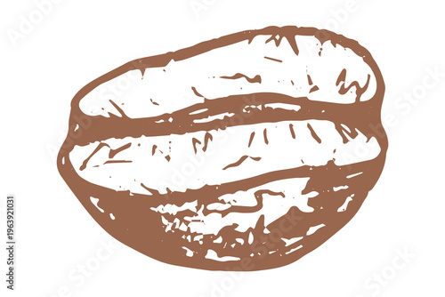 Hand drawn fresh roasted coffee bean Arabica robusta seed doodle Single element for print, web, design, decor