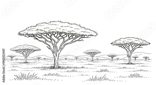 African Savanna Landscape Sketch with Acacia Trees