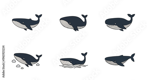 Set of Cute Cartoon Whale Illustrations