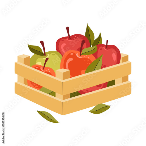 Wooden crate with fresh apples. Harvest fruit box.  