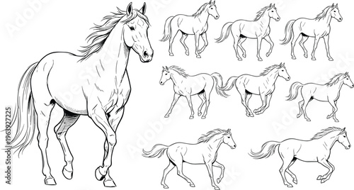 Hand drawn horse illustration set featuring running galloping poses detailed equine anatomy line art vector isolated collection for design projects