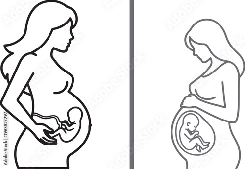 Minimalist line art vector of a pregnant woman showing the fetus inside the womb. Elegant illustrations depicting pregnancy, prenatal care, and motherhood in black and white.