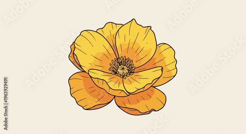 A vibrant yellow-orange flower with delicate petals and a detailed center
