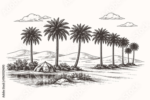 Beautiful vintage line art vector illustration of a row of palm trees near a desert oasis or river bank in a tranquil and serene landscape setting.