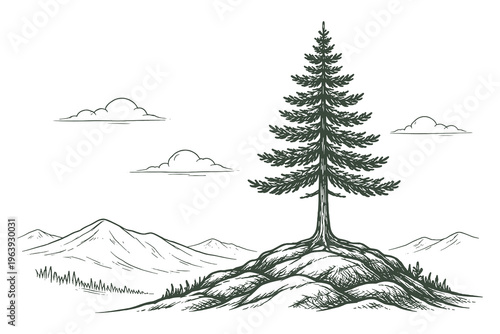 Serene vintage line art vector illustration of a solitary pine tree on a hill with a mountain range and cloudy sky in the background landscape.