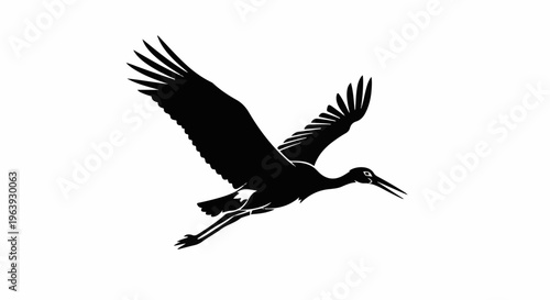 A silhouette of a bird with wings spread wide, in mid-flight