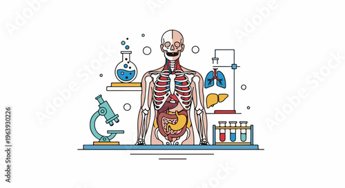 A stylized human anatomy diagram with laboratory equipment and internal organs