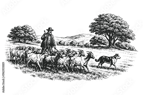 Iconic vintage woodcut vector illustration of a shepherd and a sheepdog guiding a herd of goats across a rural valley with hills in a traditional landscape.