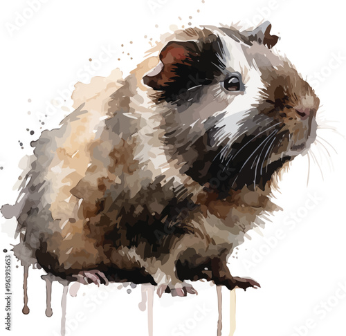 Watercolor Guinea Pig Painting, Small Animal Clipart, illustration isolated on white background