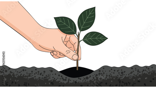Hand Planting Sapling, New Growth, Sustainable Business Concept, Green Initiative