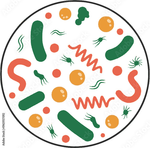 Gut Microbiome Bacteria Circle Flat Science Illustration
