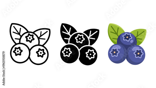 Evolution of a blueberry from flower to ripe fruit in three stages