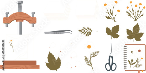 Botanical Herbarium Illustration Set Featuring Plant Press, Dried Flowers, Leaves, Tweezers, Scissors and Notebook for Nature Study